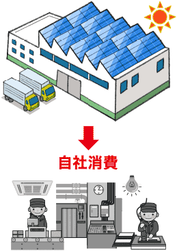 完全自家消費型